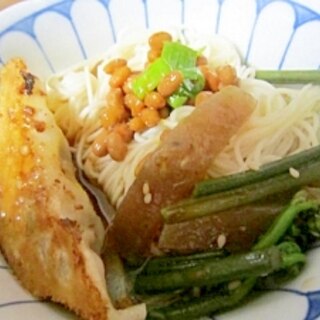 ∝野菜餃子素麺∝